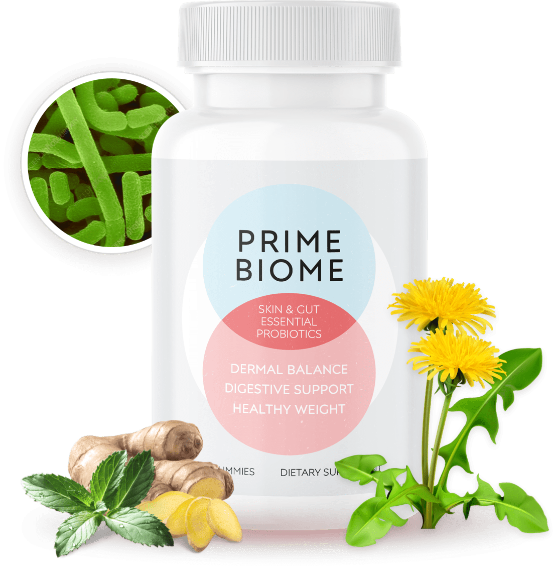 PrimeBiome Supplement PrimeBiome Supplement